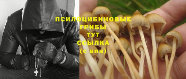 ECSTASY Абинск
