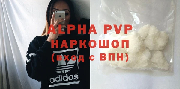 индика Приозерск