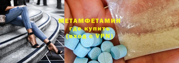 сатива Ельня