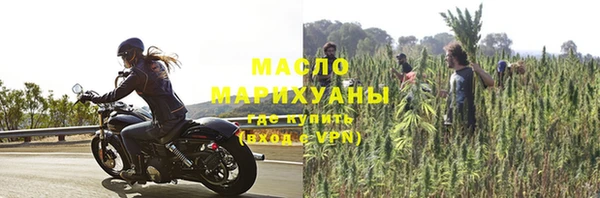 индика Приозерск