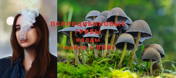 метамфетамин Пролетарск