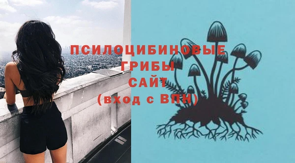 ECSTASY Абинск